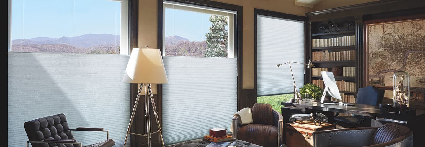 Duette Window Shades