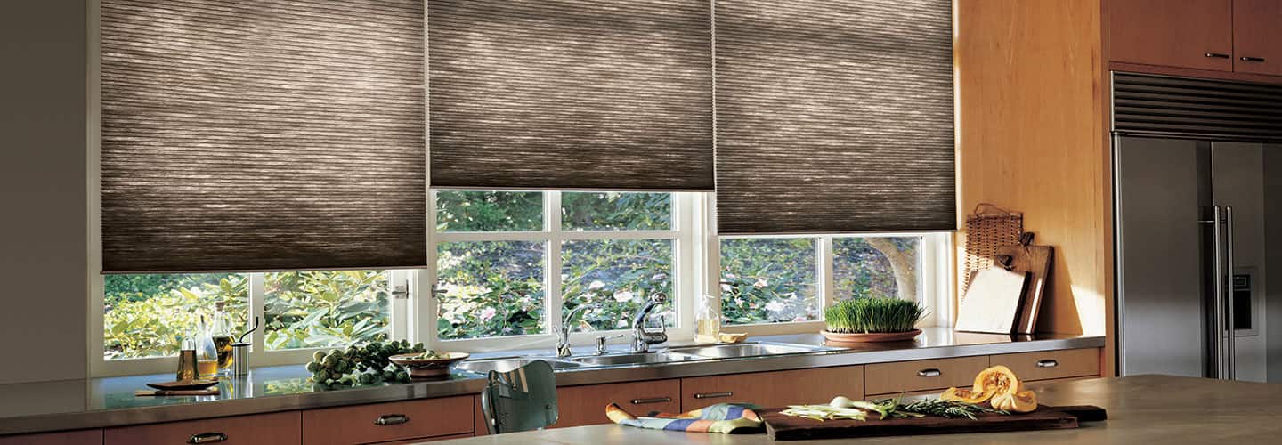 Duette Window Shading in Tucson, AZ
