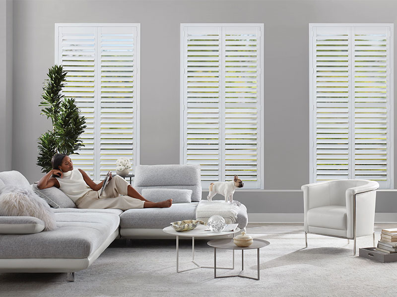 Living room with white plantation shutters and modern furniture.